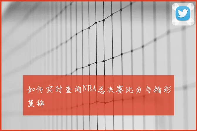 如何实时查询NBA总决赛比分与精彩集锦